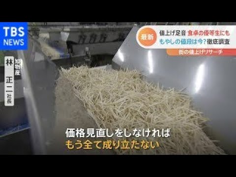 “食卓の優等生”が落第ピンチ？  もやしの値段を徹底リサーチ