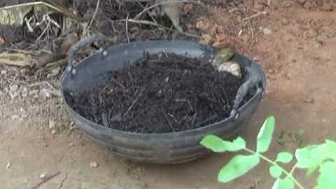 Solid Waste Management -Pipe Compost Initiative