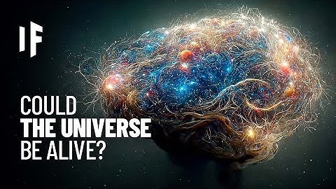 What If The Universe Is Conscious?