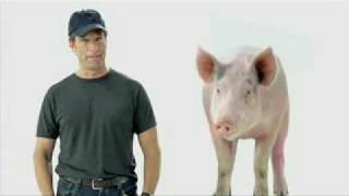 Dirty Jobs Mike Rowe Puts A Pig On A Pedestal