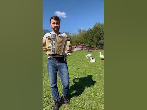 Гуси у бабуси - YouTube