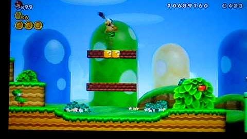 New Super Mario Bros. Wii world 1-3