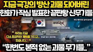 지금 끝판왕 방산 괴물 되어버린 한화가 최근 공개한 차세대 무기들 l 한번도 본적 없는 역대급 파괴력의 무기들