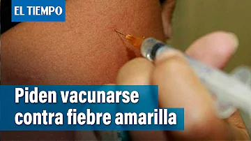 ¿Exige Costa Rica la vacunación contra la fiebre amarilla?