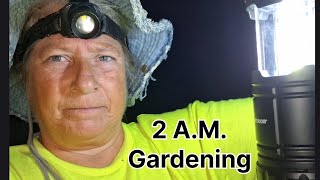 Your Garden Needs You After Dark. 