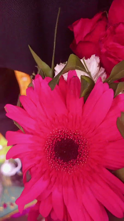 લેજો rasiya re rumal #music #trending #gujarti #gujarati #foryou #old #oldsong #viralvideo #phool