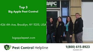 Top 3 Pest Control in Arcadia