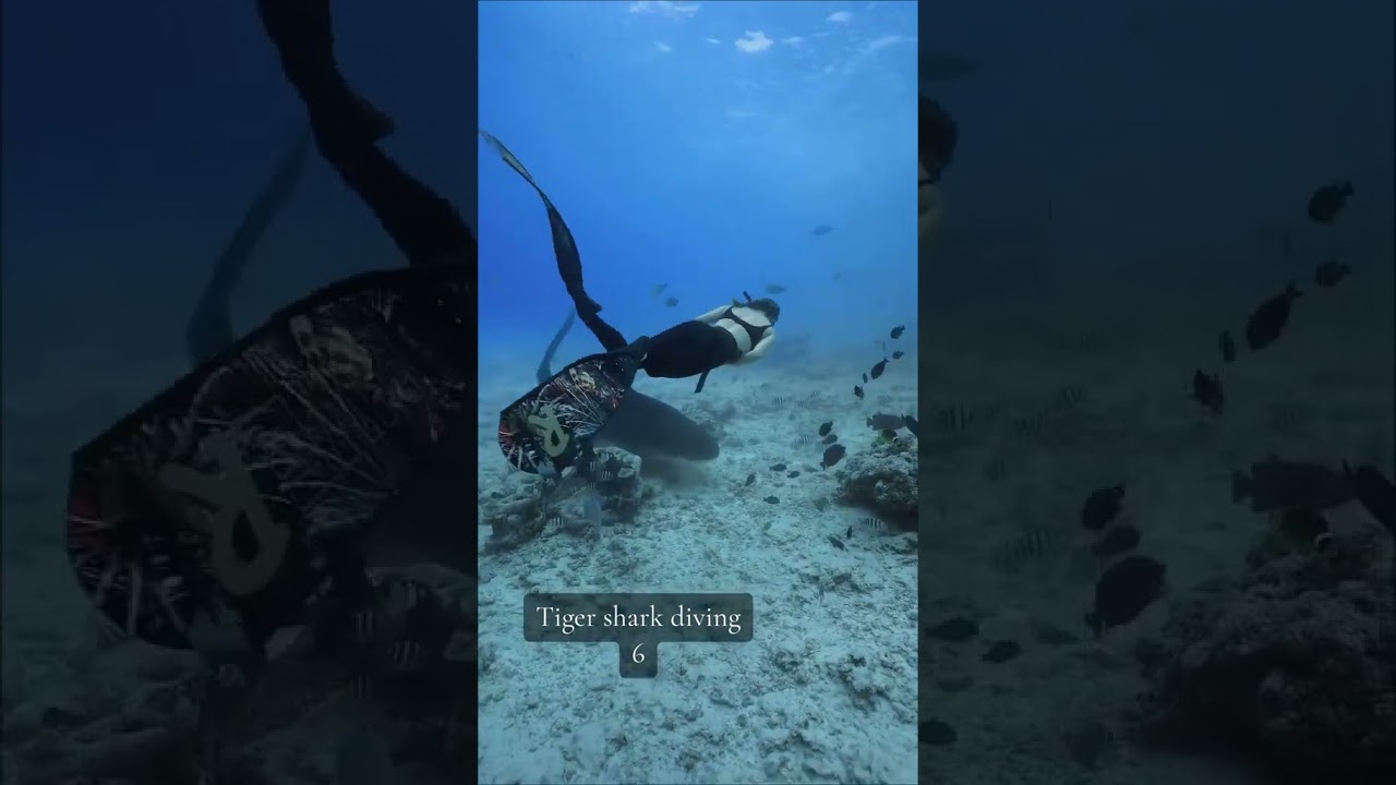 Most DANGEROUS HOBBIES ranked 🐍