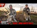 Two tags punched in iowa by mark drury  dustin lynch  deer season 2023