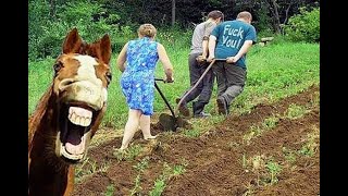 FUNNY VIDEOS TRACTOR FARMER  ЮМОР  ПРИКОЛЫ С МОТОБЛОКАМИ