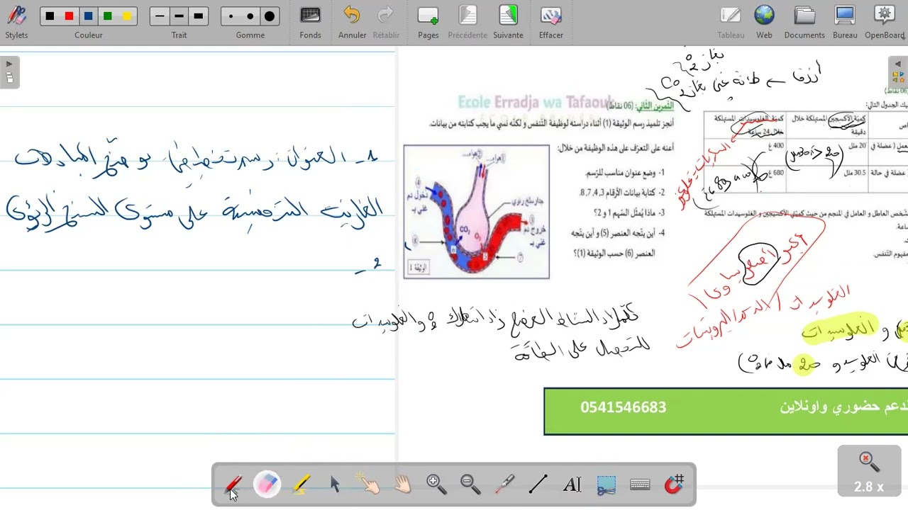 مراجعة اختبار السنة أولى متوسط الجزء الأول 