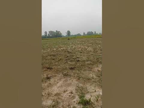 May 22, 2023 - YouTube