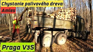 Chystanie palivového dreva a odvoz na V3S, Praga V3S, Stihl ms 462, Metrovica,Lada niva 4x4, Amles