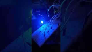 Counting in binary using LEDs