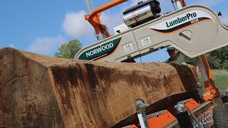 Aserradero Norwood HD36