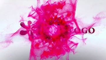 Professional Intro (#69) | Logo intro | Animated intro | clean introduction | company intro outro