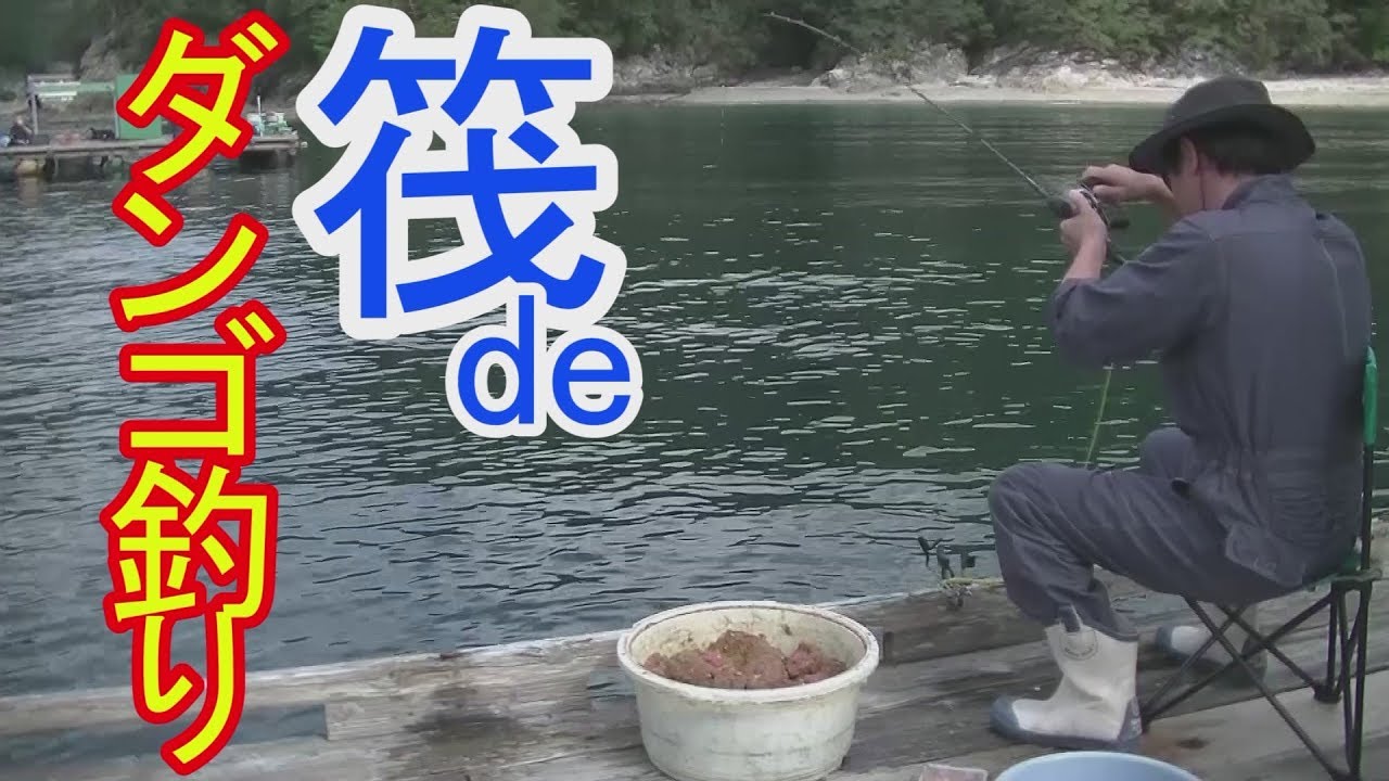 初の筏でダンゴ釣り 三重県 尾鷲 Youtube