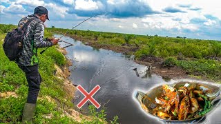 Hunting for Snakeheads in the Wide Grass Fields, Cooked Immediately, Automatically Makes You Droo...