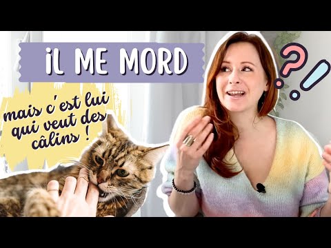 Vidéo: Pourquoi mon chat m'attaque-t-il quand je le caresse?