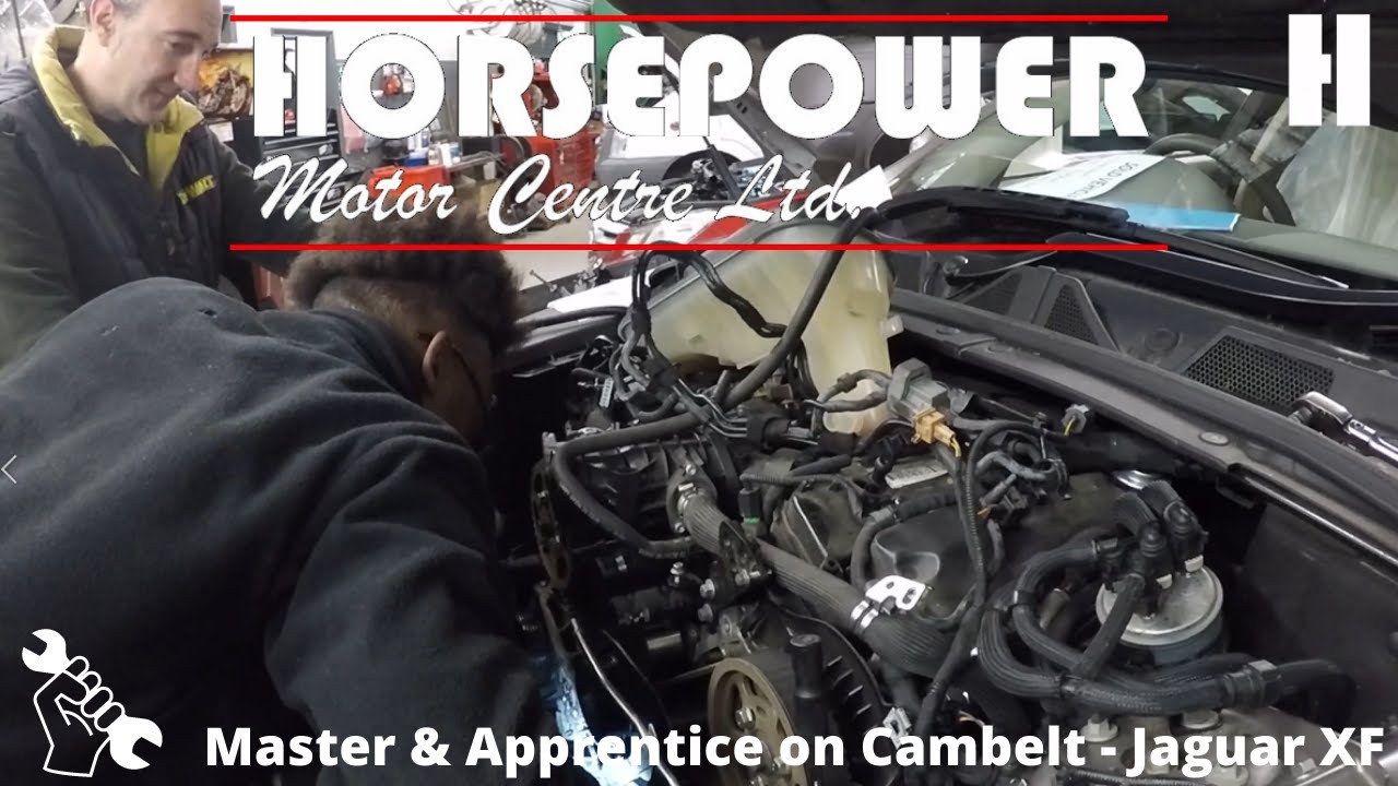 The Master & The Apprentice Cambelt on Jaguar XF YouTube
