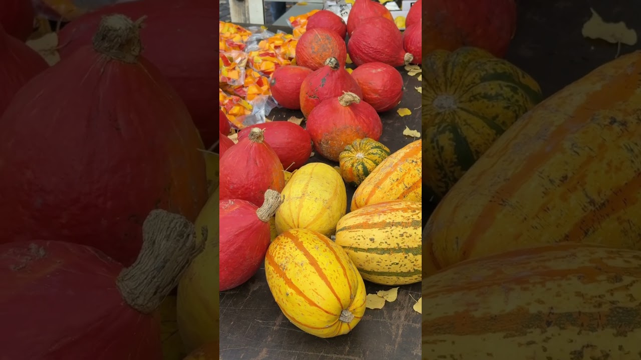 October in Germany 🍂🍁 