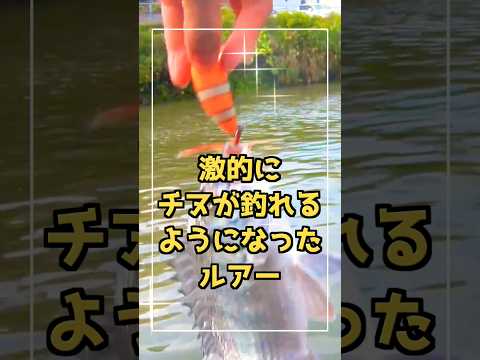 ブラックバス用ルアー❓️でもチヌが釣れまくる🎣 #釣り #shorts