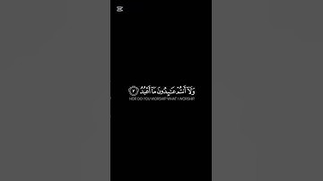 الشيخ محمد شعبان أفندي | سورة الكافرون #القرآن_الكريم #تيك_توك