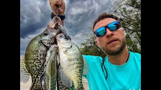 Wading for SHALLOW Texas Crappie at Granger Lake