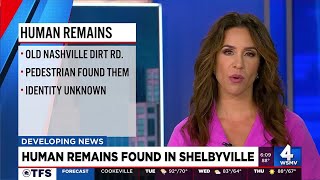 Human remains found in Shelbyville