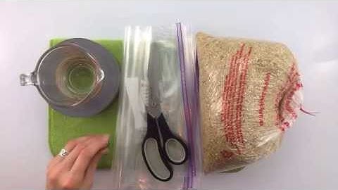 Long Story Shortz - Weighted Lap Pad