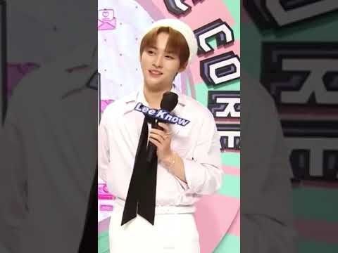 [스트레이키즈/리노] 큰아기고양이 첫 출근했다
