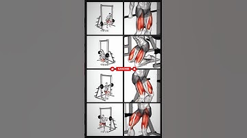 Leg Workout at Gym Using Smith Machine #fitness #exercise #legday #gymworkout #shorts