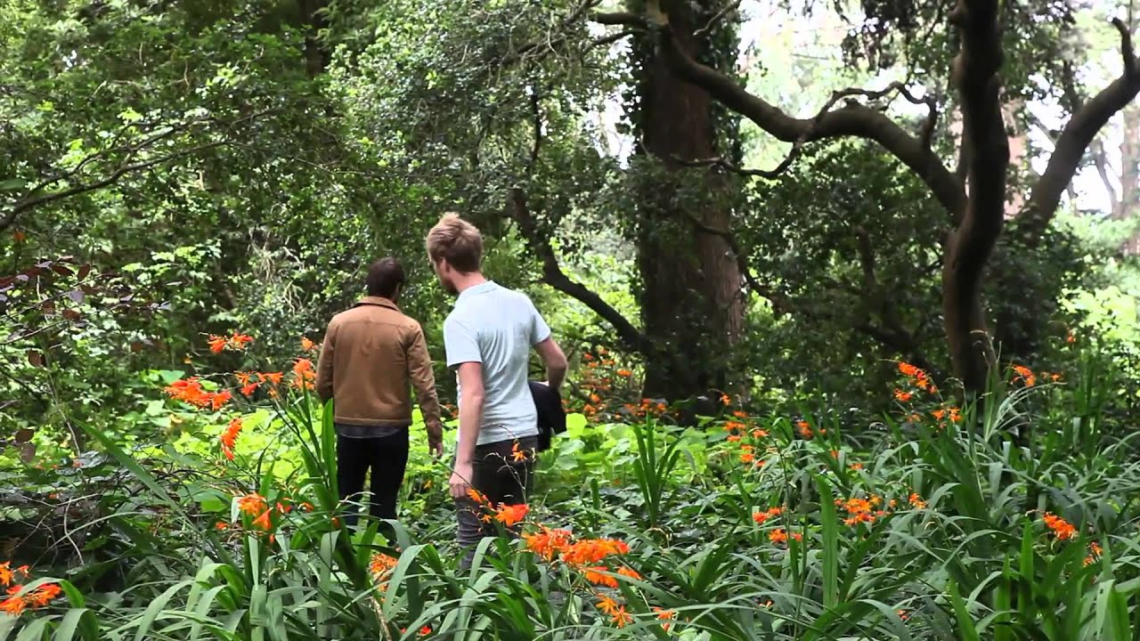 Get Your Yelp On: Forage SF