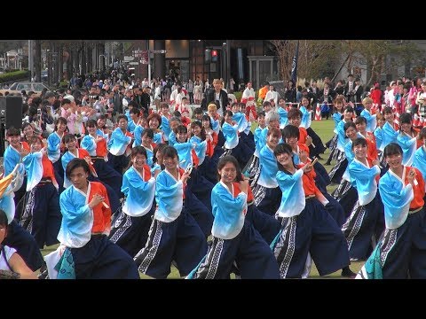おどりんちゅ　2018　羅針盤　第3回　横浜よさこい祭り　2018　1/3