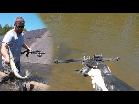 Daytime Bowfishing with a Mini Crossbow  I Can't Believe This