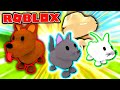 Roblox PET HEROES! - "CHOOSE YOUR STARTER!" - Episode 1 (Roblox Pet Game)