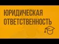 Юридическая ответственность. Видеоурок по обществознанию 9 класс