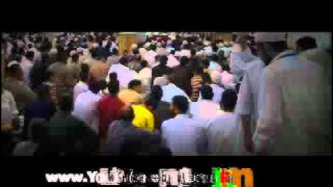 سورة الشورى ـ د محمد عزت عطية.wmv