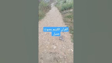 القرآن الكريم بصوت جميل #quran #اكسبلور #قرآن #تيك_توك #ترند #القرآن_الكريم #لايك #راحة_نفسية