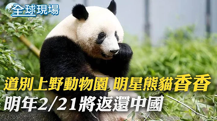 道別上野動物園 明星熊貓"香香" 明年2/21將返還中國｜結冰洪水強風 紐約擁抱30年最冷耶誕｜【全球現場】20221224 @Global_Vision - 天天要聞