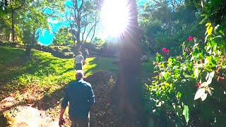 A walk through Zomba Botanical Garden HDR