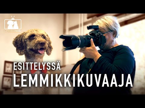 Video: Miksi Lemmikit Ovat Kuin Omistajansa: Valikoima Valokuvia