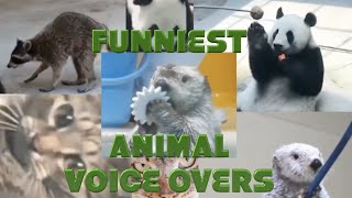 Best animal voice overs