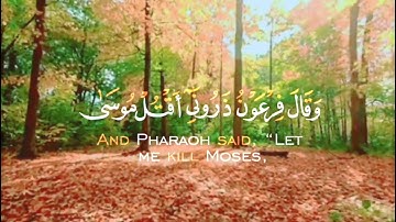 الشيخ نعمة الحسان - سورة غافر - من الآية 26 الى الآية 27