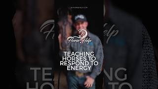 Teaching Horses to Respond to Energy