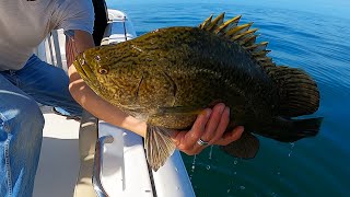 Cobia and Tripletail Catch Clean and Cook!  In Memory Of Our Friend!