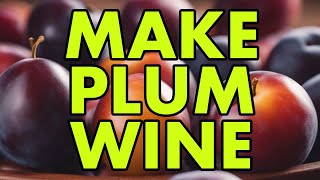 Plum Perfect: Vařte víno jako profesionál!