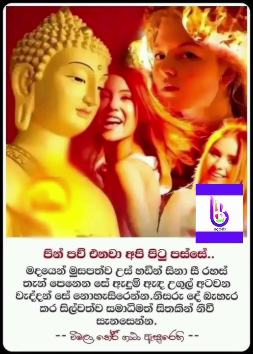 පින් පවු එනවා අපි පසු පස්සේ... 🙏🙏🙏#budubanasinhala