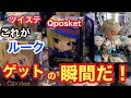 クレーンゲーム ツイステ これが ルーク ゲットの瞬間だ！ ツイステッドワンダーランド Qposket  ぬいぐるみ UFOキャッチャー フィギュア