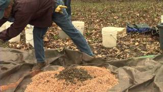 More Steps Taken To Bring Community Back To Olin-Turville